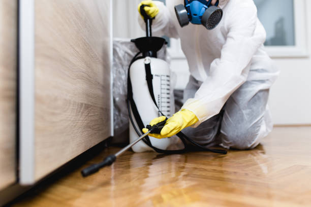 Best Pest Removal Services  in Pleasant Hill, MO