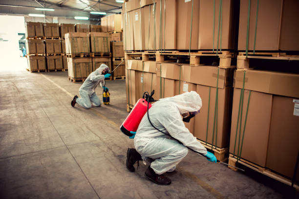Reliable Pleasant Hill, MO Pest Control Solutions