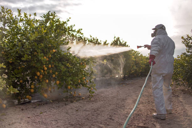 Best Pest Prevention Services  in Pleasant Hill, MO