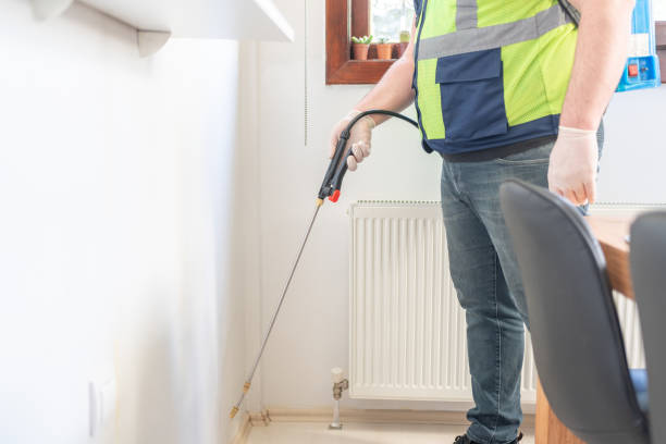 Best Flea Control Services  in Pleasant Hill, MO