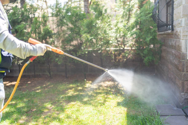 Best Pest Removal Services  in Pleasant Hill, MO