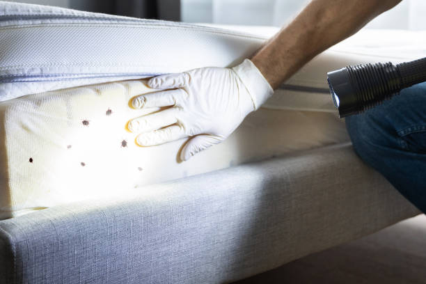 Pest Control Cost in Pleasant Hill, MO